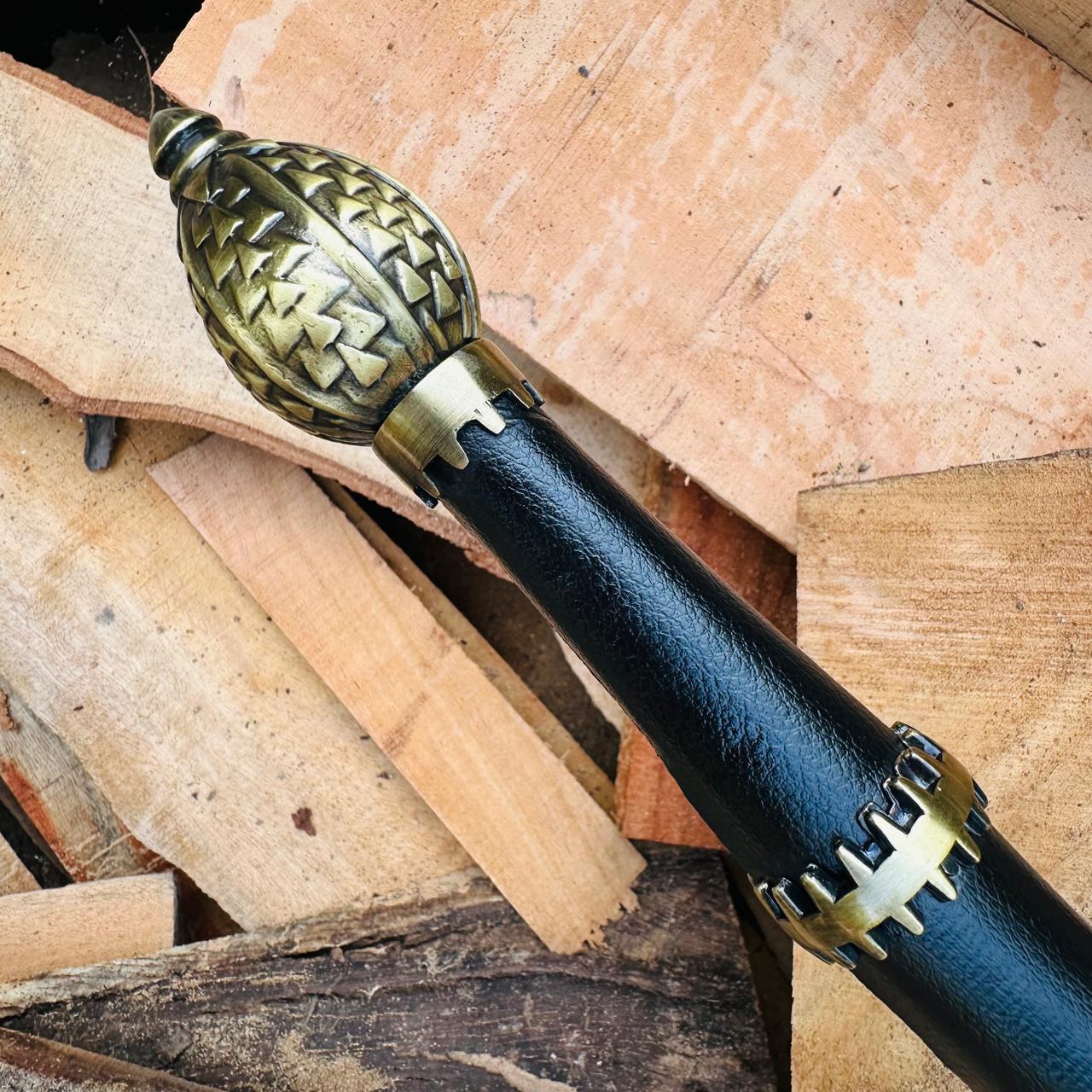 Dark Sister: The Legendary Targaryen Sword