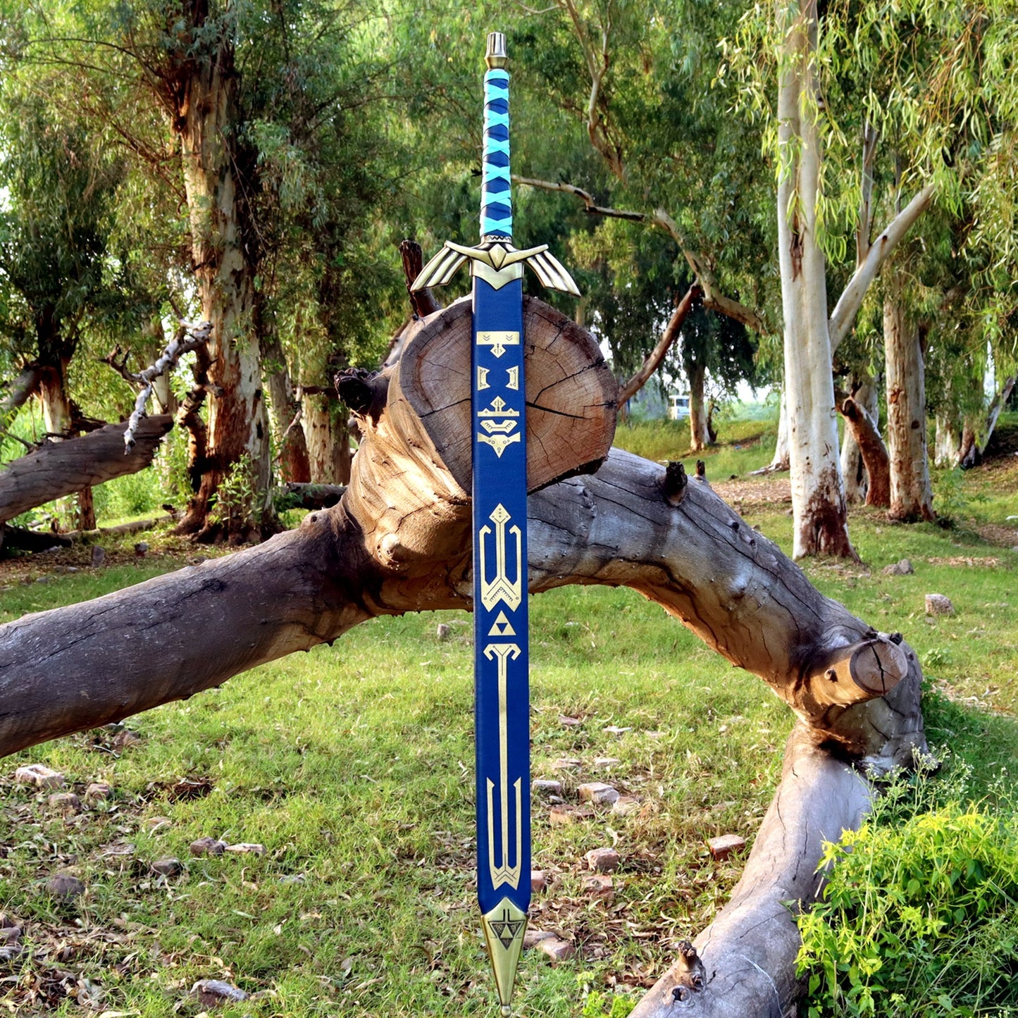 Master Sword: The Blade of Evil's Bane